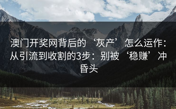 澳门开奖网背后的‘灰产’怎么运作：从引流到收割的3步：别被‘稳赚’冲昏头